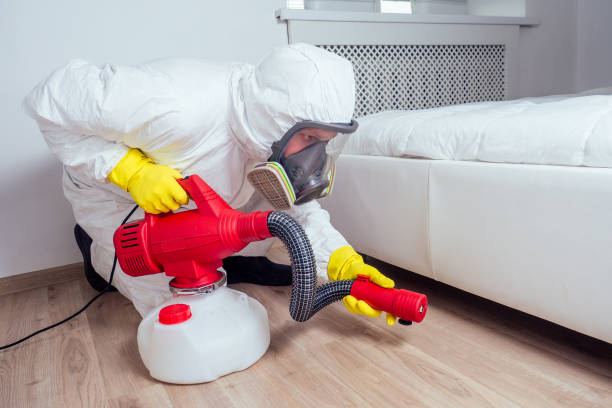 Professional Pest control in Hillcrest, IL